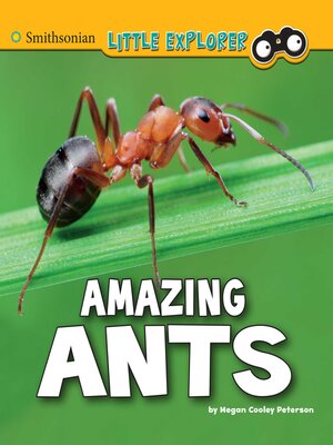cover image of Amazing Ants